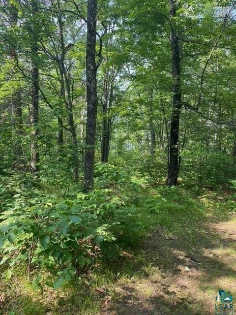 91XX E HILLTOP DR, Solon Springs, WI 54873 Land For Sale  MLS# 6109039