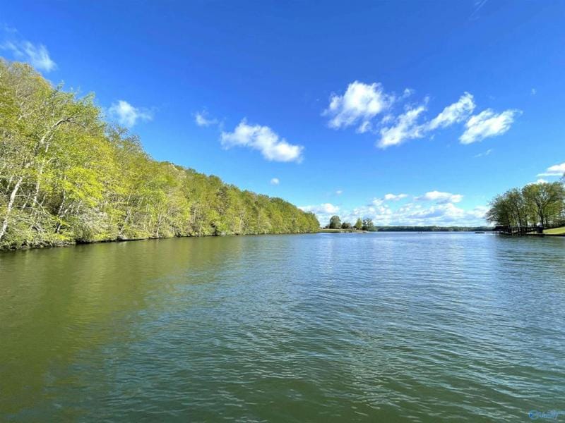 1440 LINGERLOST RD, Killen, AL 35645 Land For Sale  MLS# 1831547