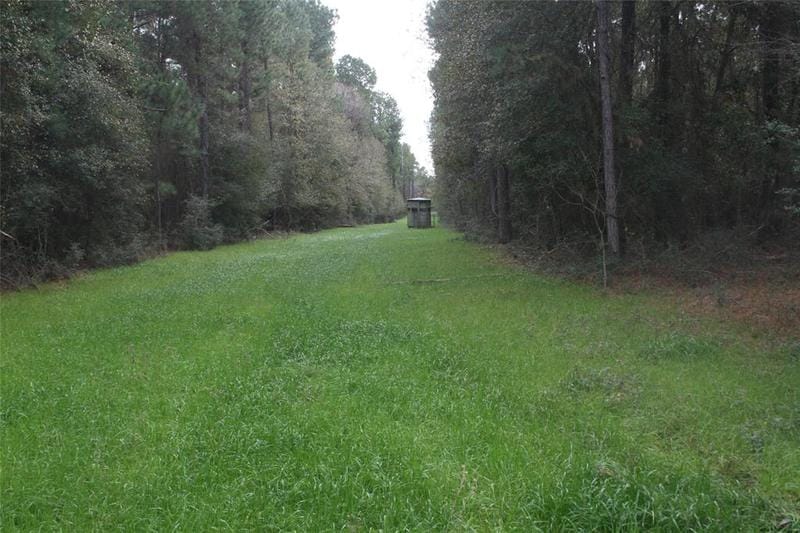 TBD CR 355, Todd Mission, TX 77363 for Sale