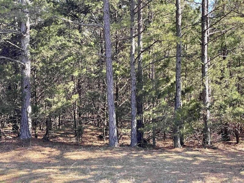 Fairfield Bay, Van Buren County, AR Undeveloped Land, Homesites for sale Property ID: 417031302
