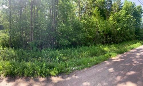 49 BIRCH AVE, Willsboro, NY 12996 Land For Sale  MLS# 177785
