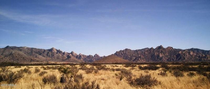 70 N HORNED OWL LANE, Saint David, AZ 85630 Single Family Residence For Sale  MLS# 5902671 for Rent