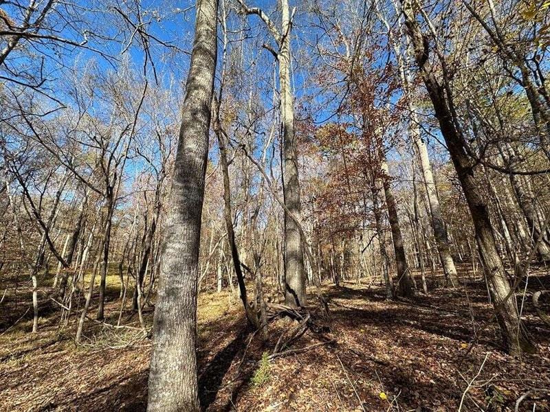 4 Wesley Ln, Union Church, MS 39668  613813161 for Sale