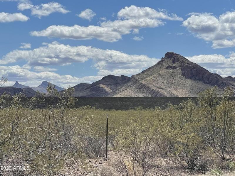 Douglas, Cochise County, AZ Farms and Ranches for sale Property ID: 416111962