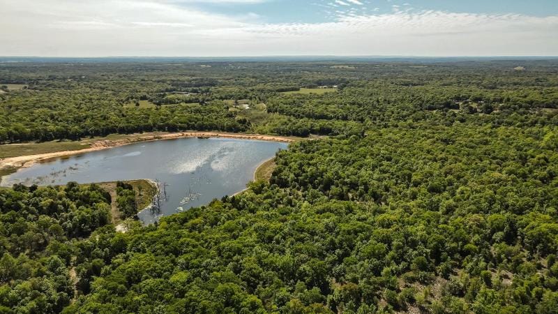 Athens, Henderson County, TX Undeveloped Land, Lakefront Property, Waterfront Property for sale Property ID: 416243273