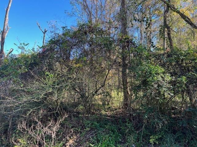000 Lazy Creek Dr, New Caney, TX 77357 for Sale