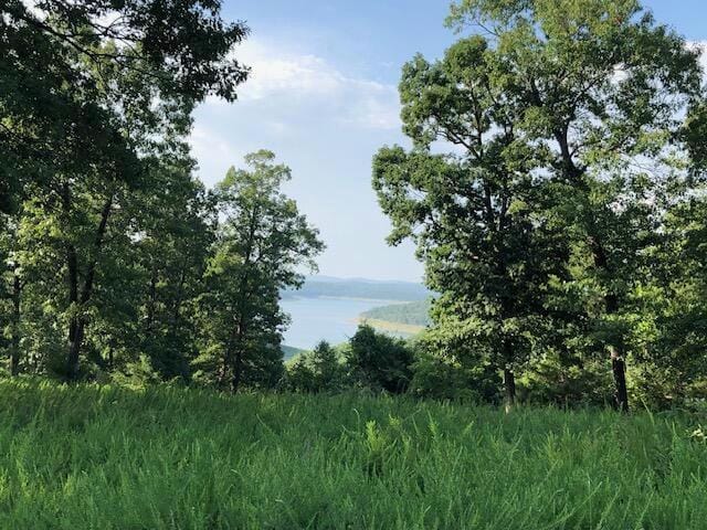 00 AIRPARK DRIVE, Yellville, AR 72687 Land For Sale  MLS# 147679