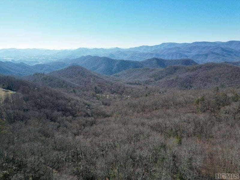 000 Silly Ridge Road, Scaly Mountain, NC 28775  618611960 for Sale