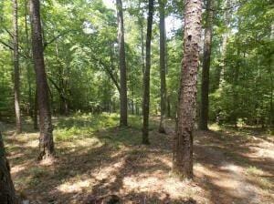 Lincolnton, Lincoln County, GA Homesites for sale Property ID: 417202576