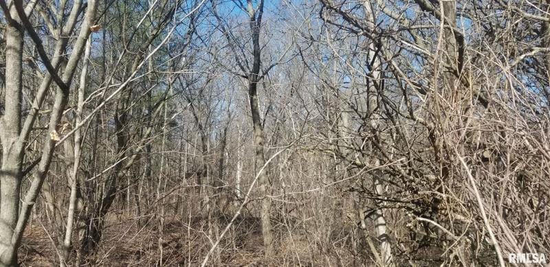 Mackinaw, Tazewell County, IL Undeveloped Land, Homesites for sale Property ID: 418224685
