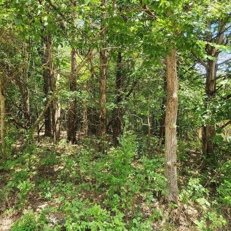Cherokee Village, Sharp County, AR Undeveloped Land, Homesites for sale Property ID: 416915921