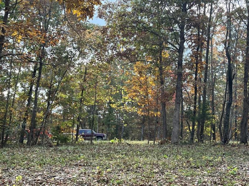 2369 COUNTY ROAD 359 LOT 2, Thayer, MO 65791 Land For Sale  MLS# 60245852