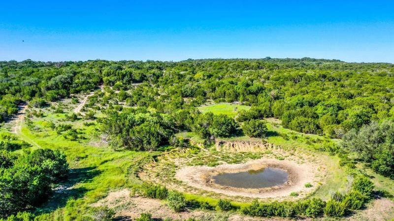 Bluff Dale, Erath County, TX Recreational Property, Undeveloped Land, Hunting Property for sale Property ID: 414908583