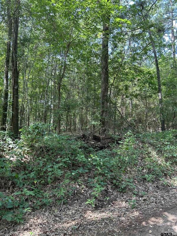 532 Jerome St, Rusk, TX 75785 for Sale