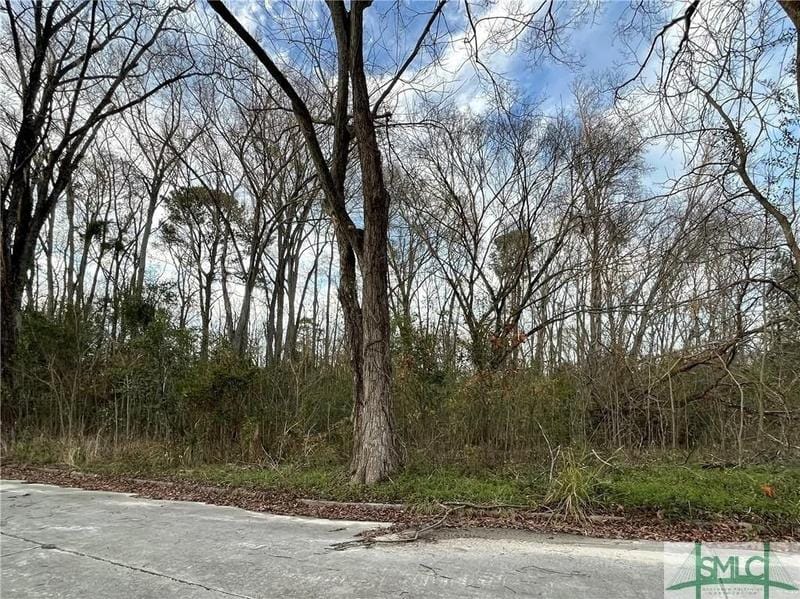 Savannah, Chatham County, GA Undeveloped Land, Homesites for sale Property ID: 418722197