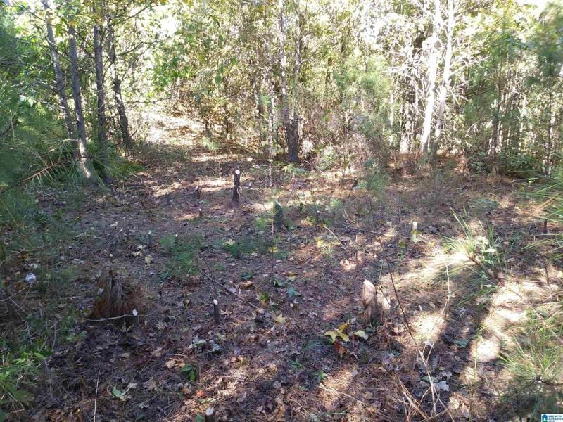 Birmingham, Shelby County, AL Undeveloped Land, Homesites for sale Property ID: 417371015