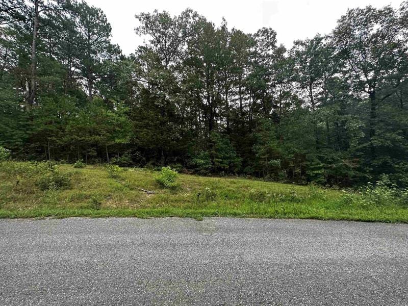 Shirley, Van Buren County, AR Undeveloped Land, Lakefront Property, Waterfront Property, Homesites for sale Property ID: