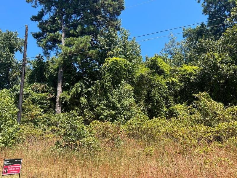 Flint, Smith County, TX Homesites for sale Property ID: 417252738