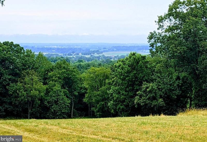 7401 Mountain Laurel Rd, Boonsboro, MD 21713 - MLS MDWA2019426 for Sale