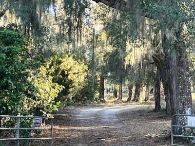 County Road 204 for Sale