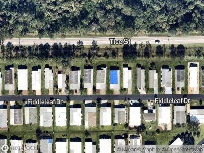 Fiddleleaf Dr for Sale