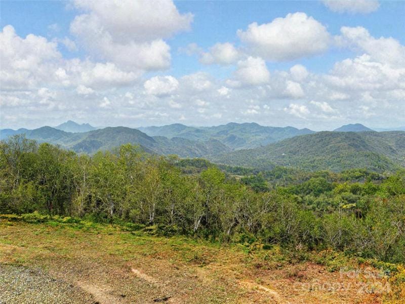 0 SHOAL RIDGE # 5, Union Mills, NC 28167 Land For Sale  MLS# 4089944