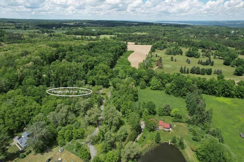 0 CURRY ROAD, Trumansburg, NY 14886 Land For Sale  MLS# IB411590