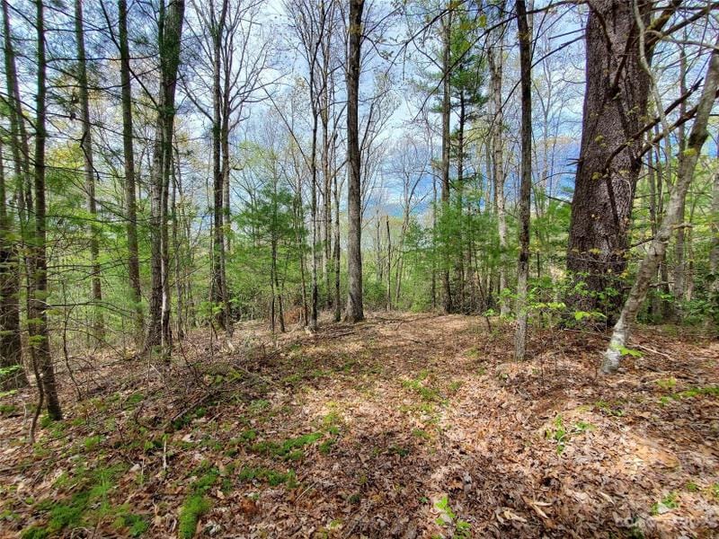 Saluda, Henderson County, NC Undeveloped Land, Homesites for sale Property ID: 415387794