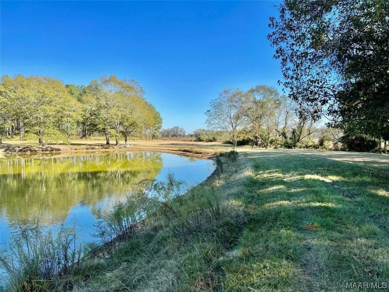 22.3AC COUNTY ROAD 114, Brundidge, AL 36010 Single Family Residence For Sale  MLS# 548885