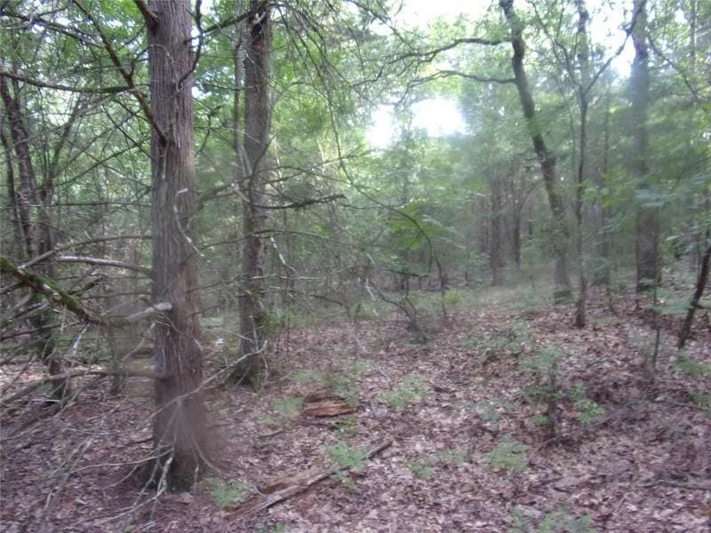 Murchison, Van Zandt County, TX Undeveloped Land, Homesites for sale Property ID: 416994916