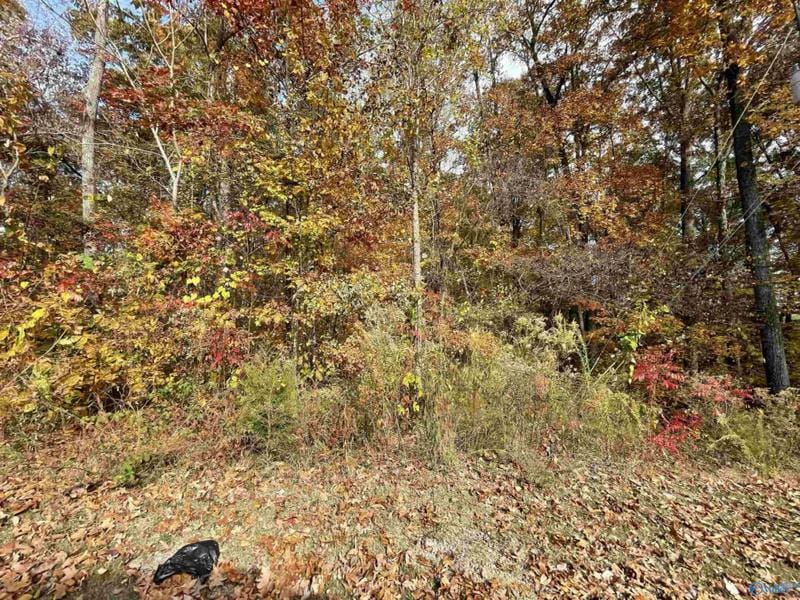 7 GARMON DR, Gadsden, AL 35901 Land For Sale  MLS# 21847999