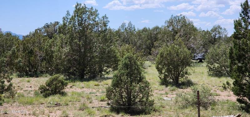 Ash Fork, Coconino County, AZ Undeveloped Land, Homesites for sale Property ID: 416928659