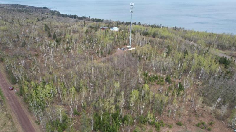6334 Old County Rd 6, Finland, MN 55603 - MLS 6108164 for Sale