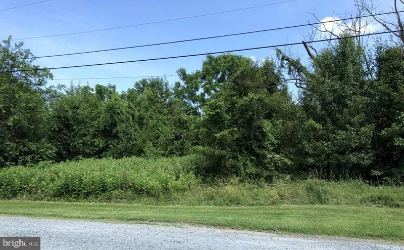 212 HEIL RD, SILVER SPRING, MD 20905 Land For Sale  MLS# MDMC723464