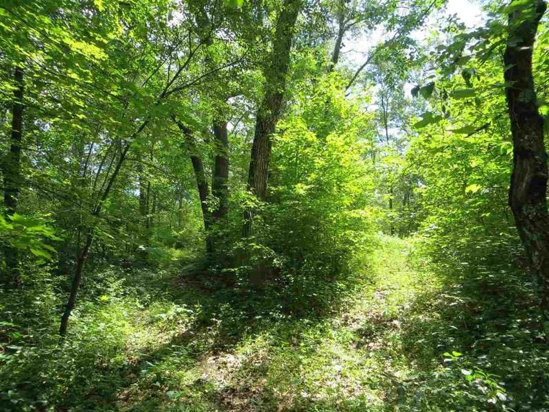 Coloma, Waushara County, WI Undeveloped Land, Homesites for sale Property ID: 417071753