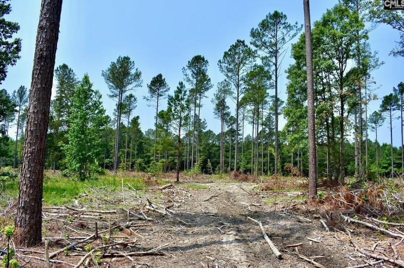 Tbd Lot 4 Pickett Thomas Rd #4, Camden, SC 29020 - MLS 577536 for Sale
