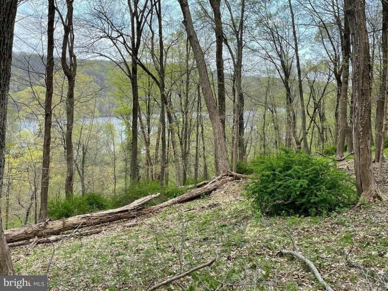 421 RIVER RD, PIPERSVILLE, PA 18947 Land For Sale  MLS# PABU2046428