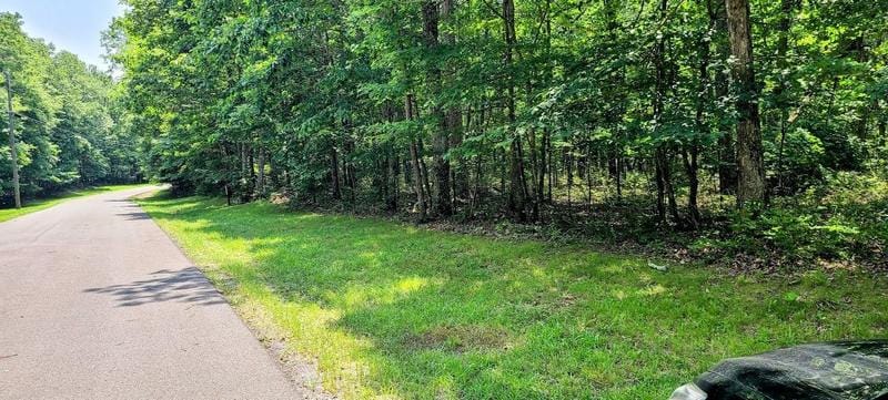 Monteagle, Grundy County, TN Undeveloped Land for sale Property ID: 417284098