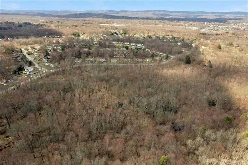 SPOOK HILL ROAD, Wappingers Falls, NY 12590 Land For Sale  MLS# H6244243