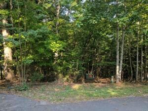 LOT 25 POINTE O WOODS DR, Huddleston, VA 24104 Land For Sale  MLS# 901530