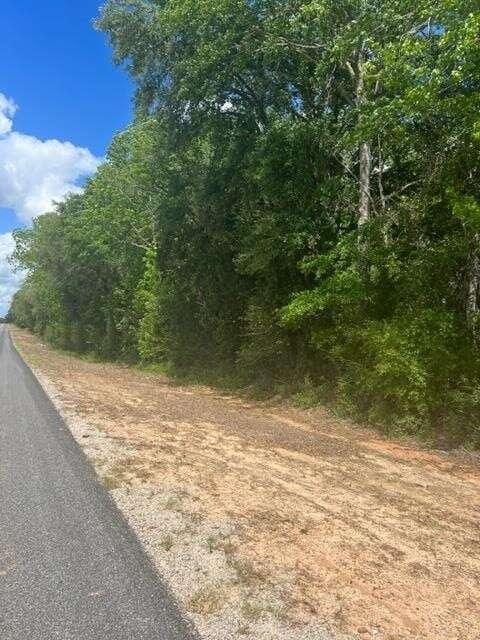 00 County Road 75, Ashford, AL 36312  621047561 for Sale