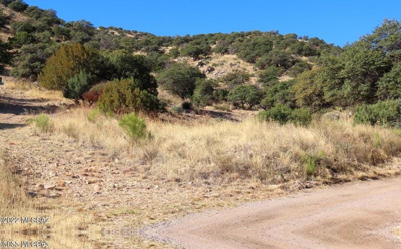 Tbd Spirit Rock Rd #0, Hereford, AZ 85615 - MLS 22206940 for Sale