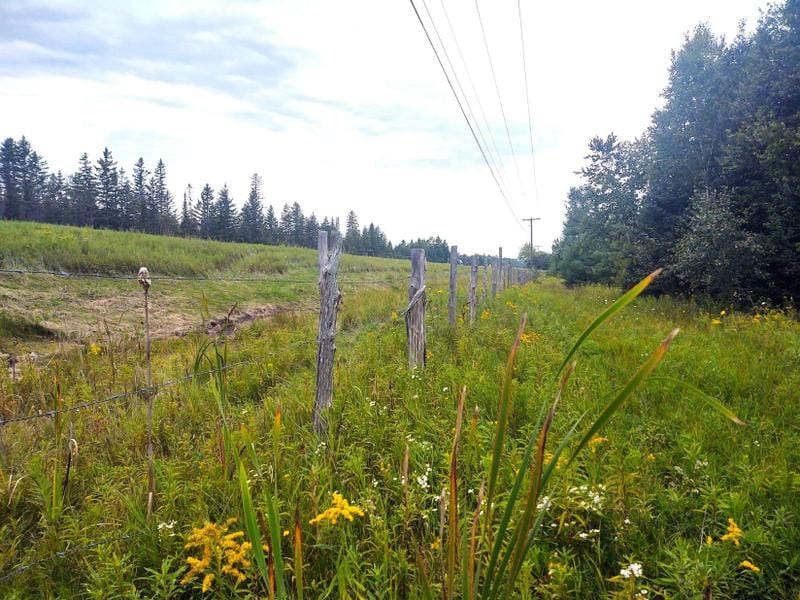Atlanta, Montmorency County, MI Undeveloped Land for sale Property ID: 417576064