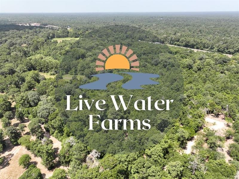 S1L3 Lake Pool Rd, Shepherd, TX 77371 for Sale