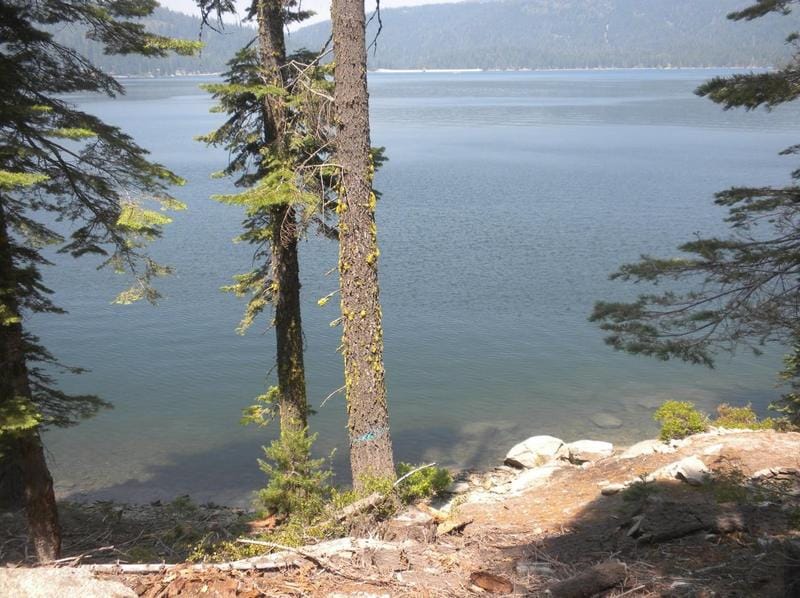 822 Mile High Rd, Bucks Lake, CA 95971 - MLS 223083700 for Sale
