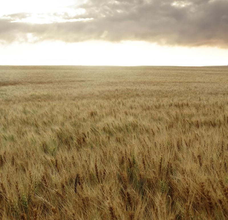 Denhoff, Sheridan County, ND Farms and Ranches for auction Property ID: 418181230 for Sale