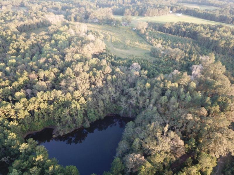Clowers Crossroads, Coffee County, AL Recreational Property, Hunting Property for sale Property ID: 417916066