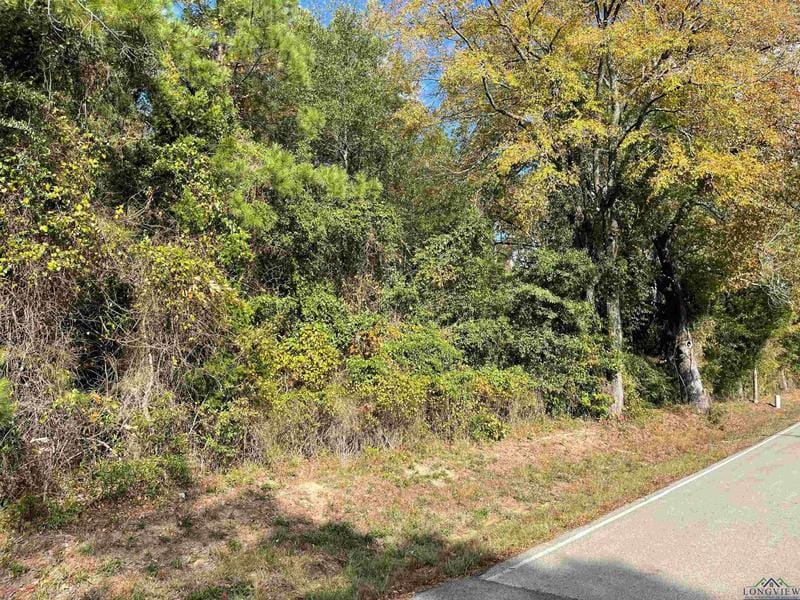 Tbd Lot 6 English Lane, Longview, TX 75605 for Sale