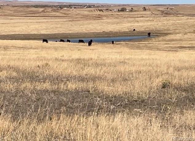 Tbd E Hwy 24, Calhan, CO 80808 - MLS 6385298 for Sale