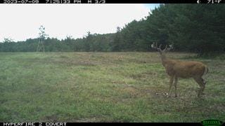 Brookville, Jefferson County, PA Hunting Property for sale Property ID: 417760352